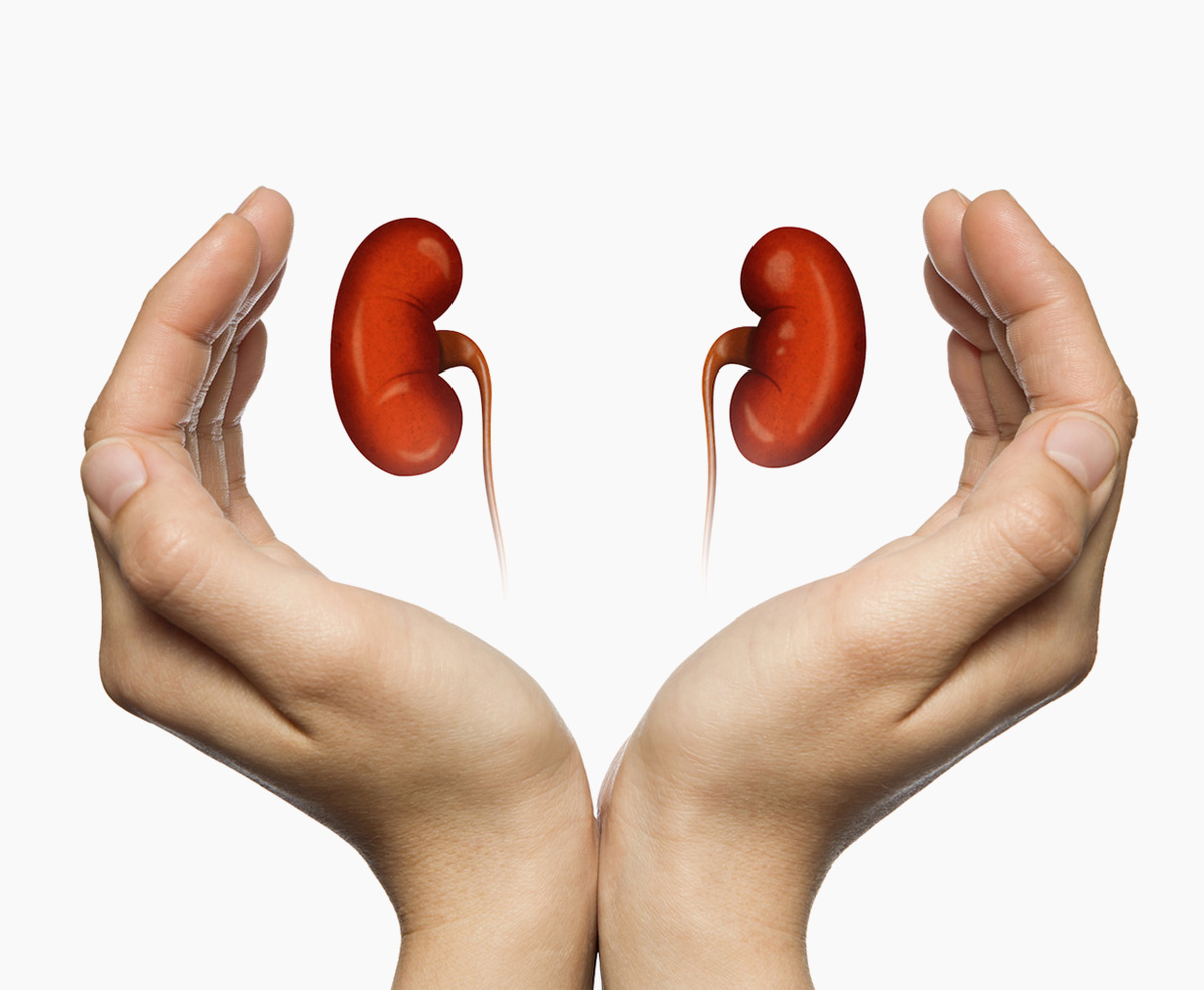 Kidney Transplant Hospitals in Ahmedabad - Kidney Dialysis centre in  Ahmedabad