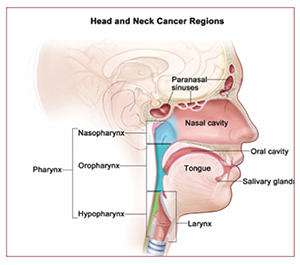 Head and Neck Cancer Treatment in Ahmedabad