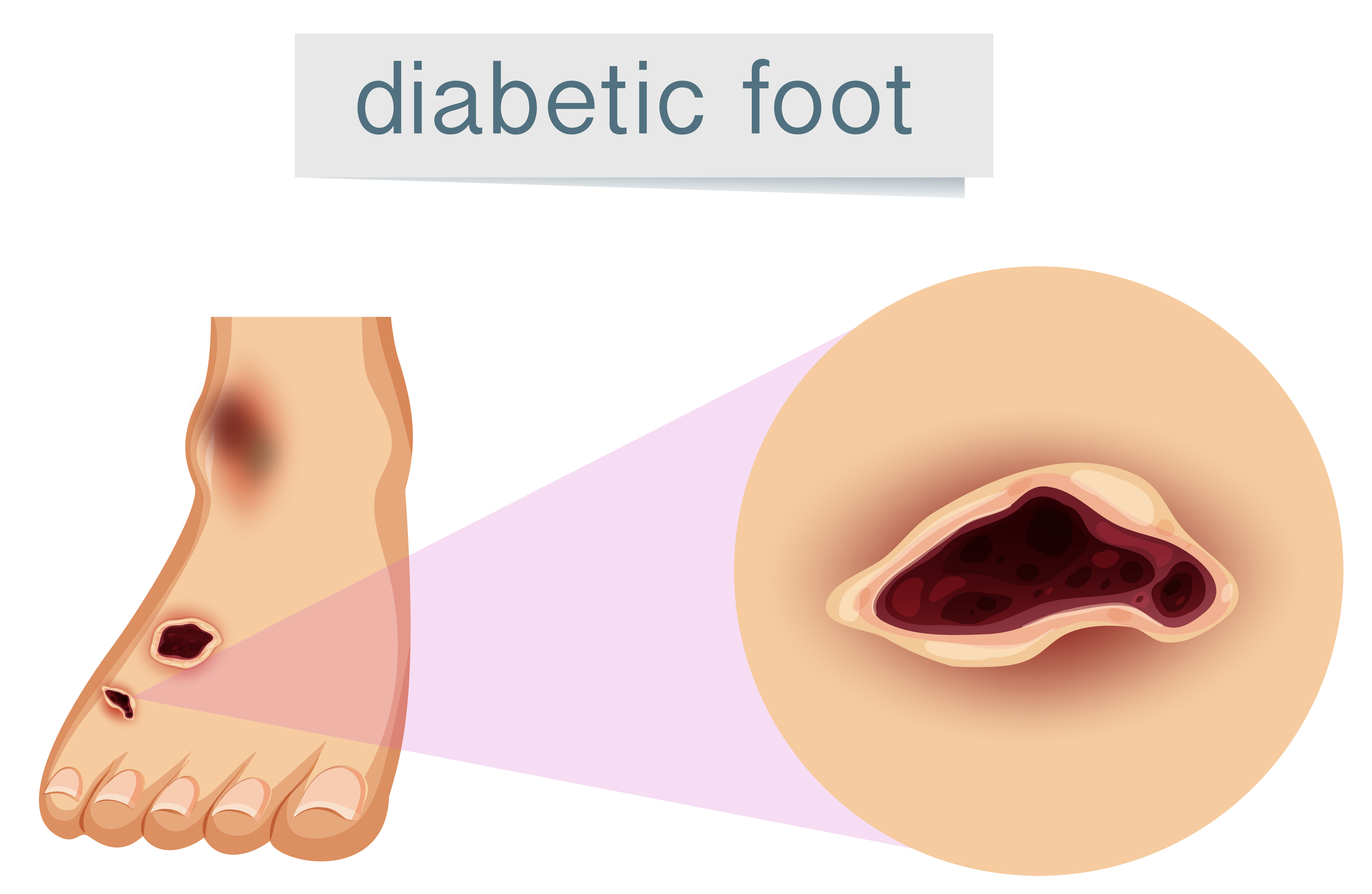 Cardiology-img