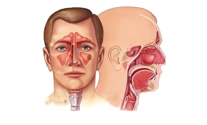 Cardiology-img