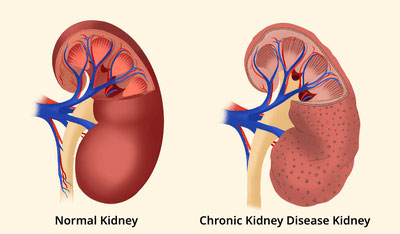 Cardiology-img