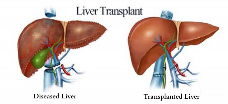 Cardiology-img