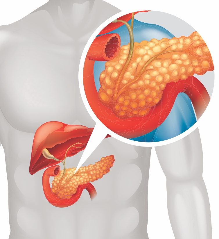 Cardiology-img