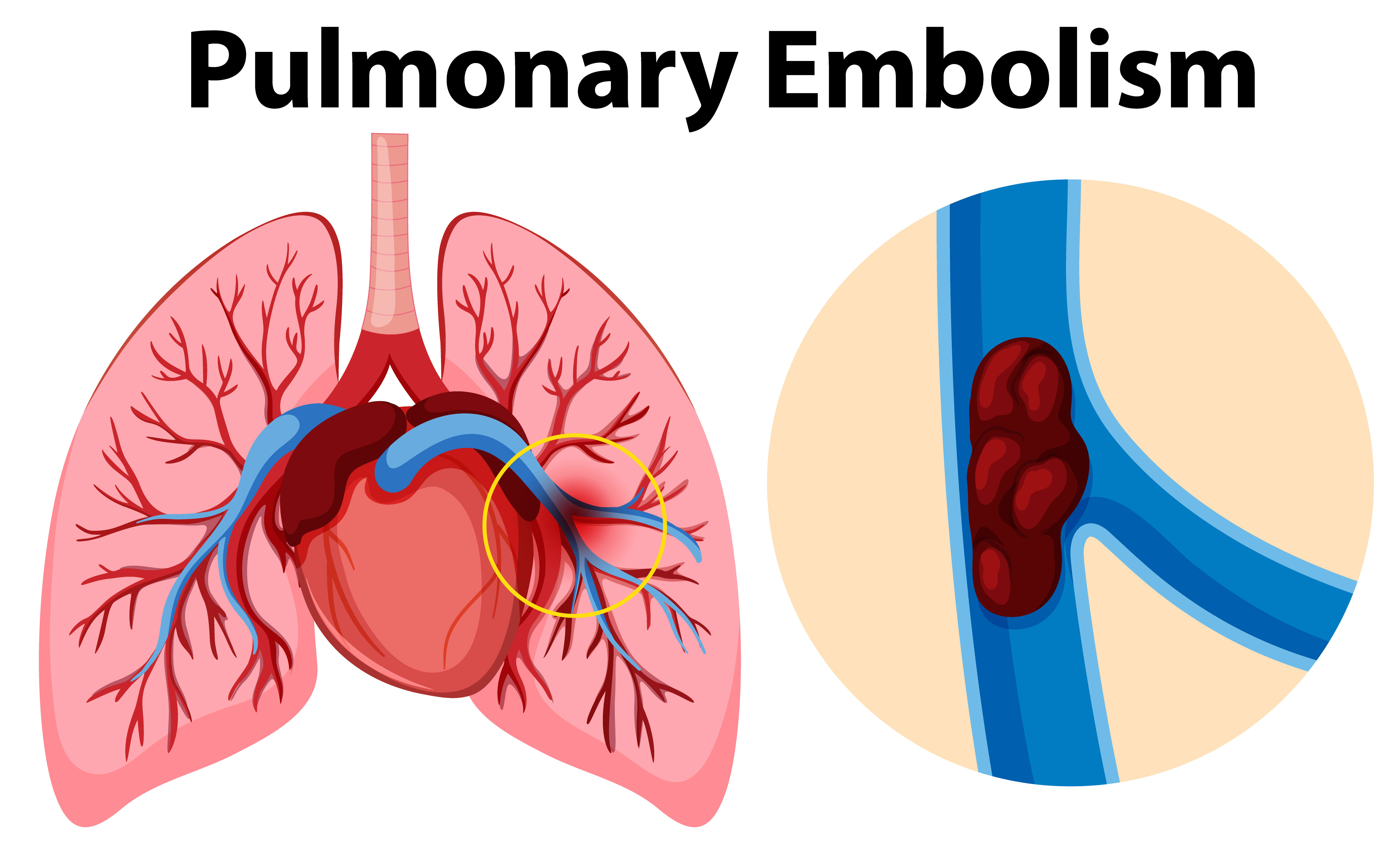 Cardiology-img